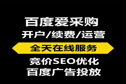 百度竞价与搜索引擎优化（SEO）结合的经典案例
